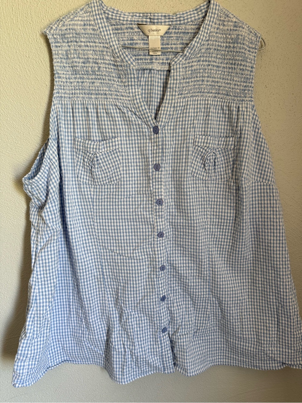 CJ Banks Light Blue and White Gingham Sleeveless Button-Up Top